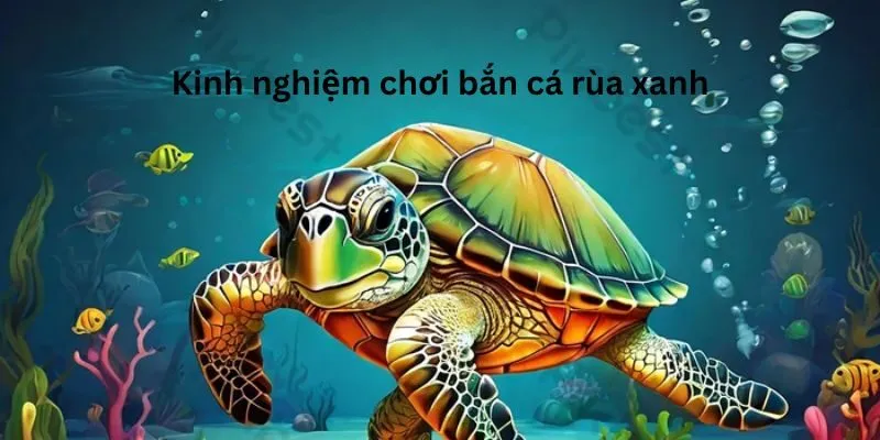 FO88 nhận xét như thế nào về bắn cá của ABC8