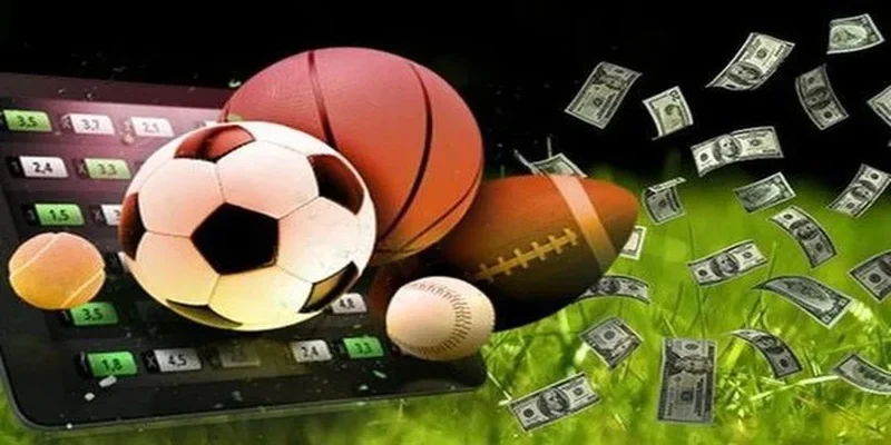 Mẹo cá cược thể thao đỉnh cao từ các lão làng tại United