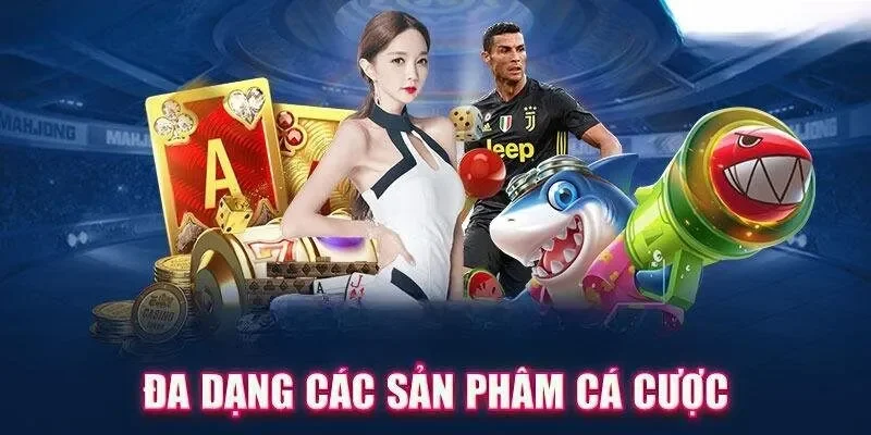 Quyền của người chơi theo chính sách quyền riêng tư tại FO88