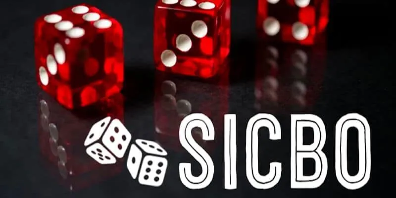 Sicbo Là Gì? Hướng Dẫn Cách Chơi Sicbo Hiệu Quả Tại FO88