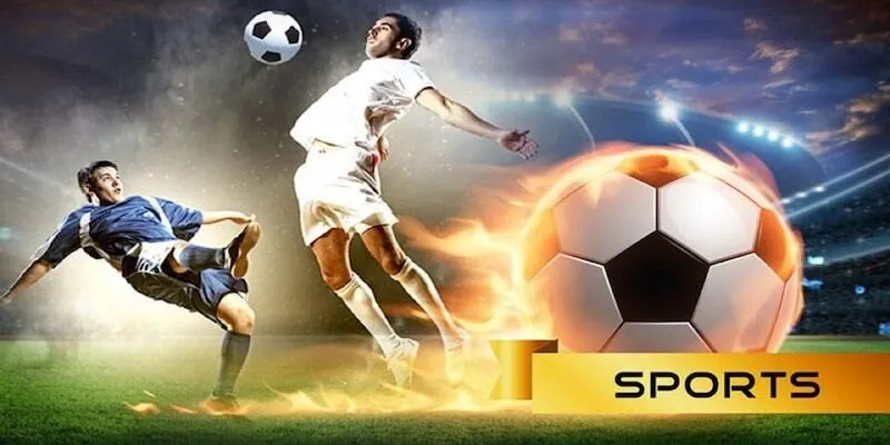 Tìm hiểu về sân chơi cá cược thể thao đẳng cấp quốc tế United